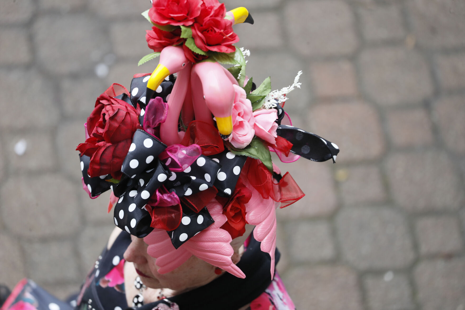 Kentucky Derby Horse Racing